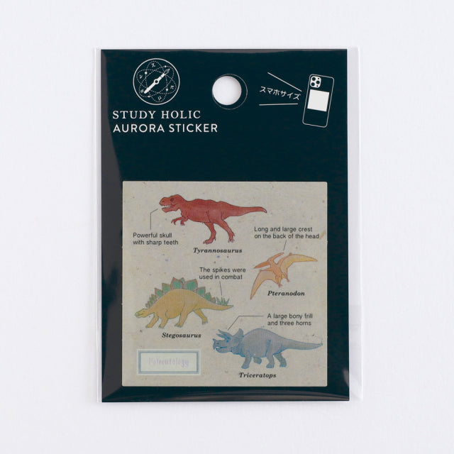 Green Flash STUDY HOLIC Aurora Stickers