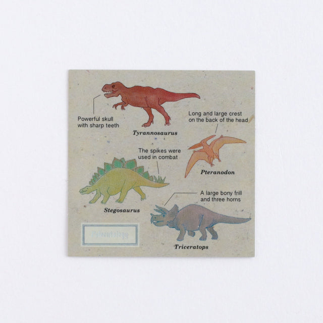 Green Flash STUDY HOLIC Aurora Stickers