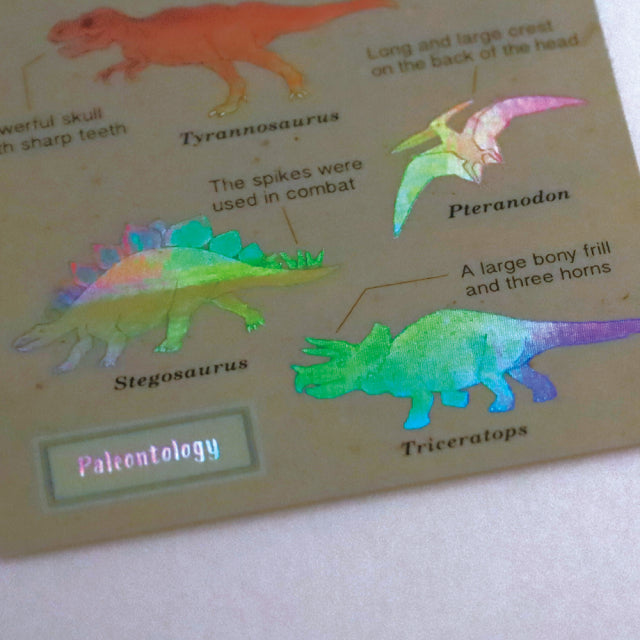 Green Flash STUDY HOLIC Aurora Stickers