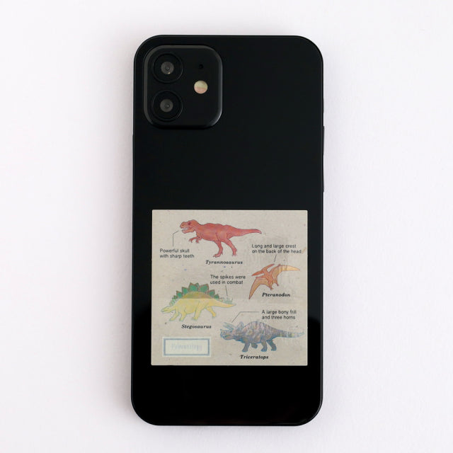 Green Flash STUDY HOLIC Aurora Stickers