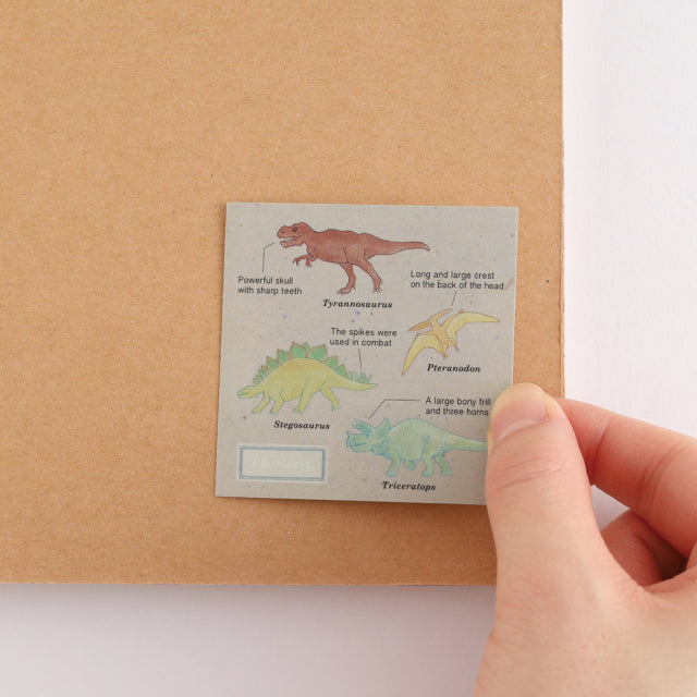 Green Flash STUDY HOLIC Aurora Stickers