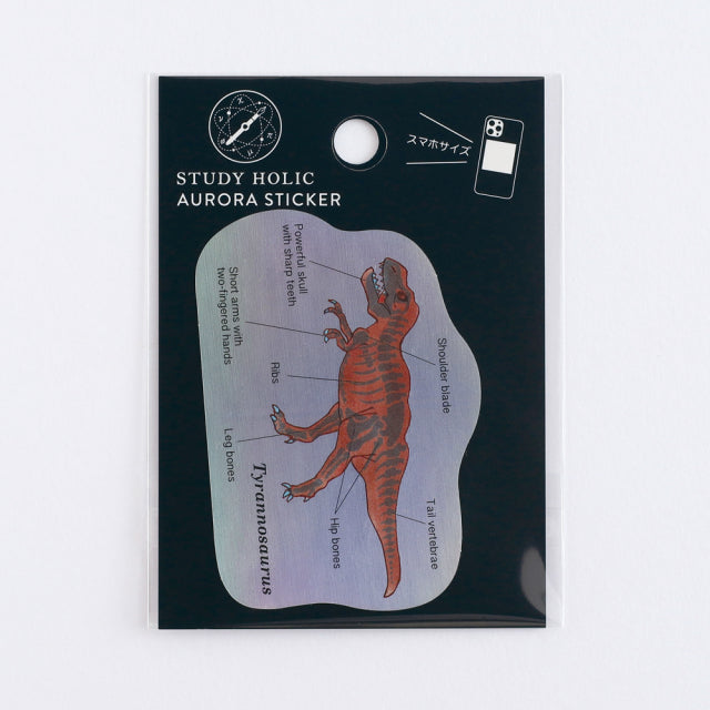 Green Flash STUDY HOLIC Aurora Stickers