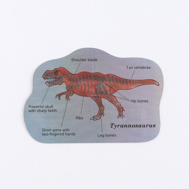 Green Flash STUDY HOLIC Aurora Stickers