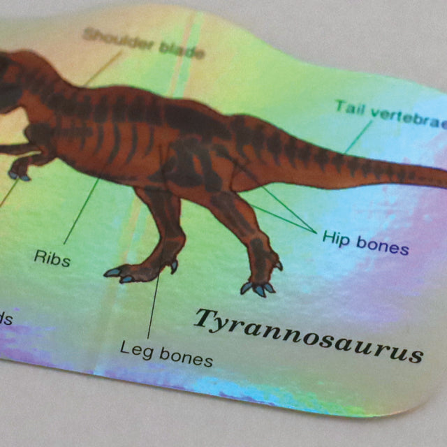 Green Flash STUDY HOLIC Aurora Stickers