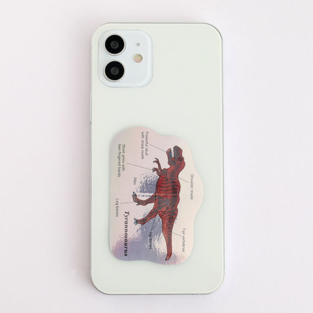 Green Flash STUDY HOLIC Aurora Stickers