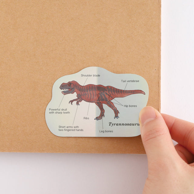 Green Flash STUDY HOLIC Aurora Stickers