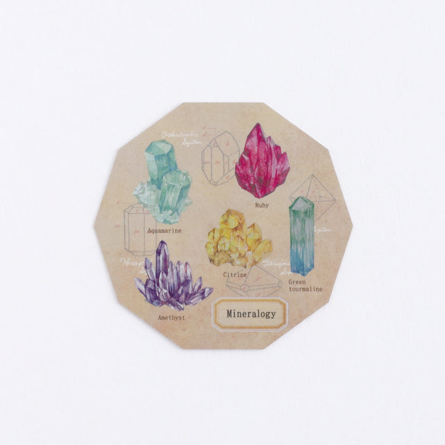 Green Flash STUDY HOLIC Aurora Stickers