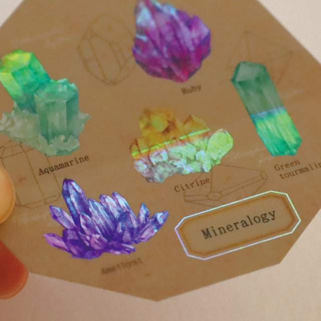 Green Flash STUDY HOLIC Aurora Stickers