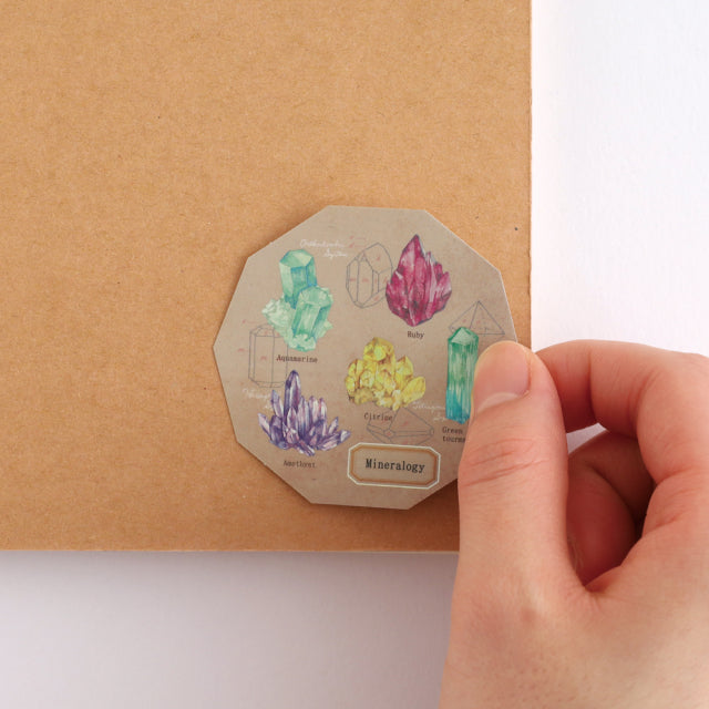 Green Flash STUDY HOLIC Aurora Stickers