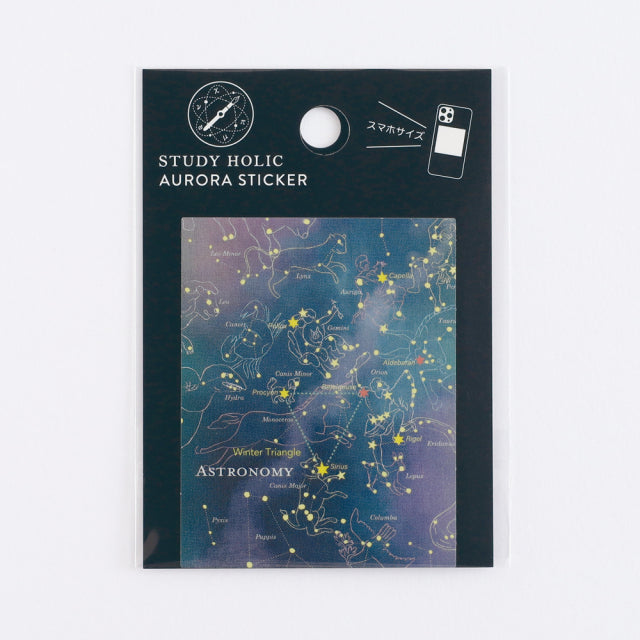 Green Flash STUDY HOLIC Aurora Stickers