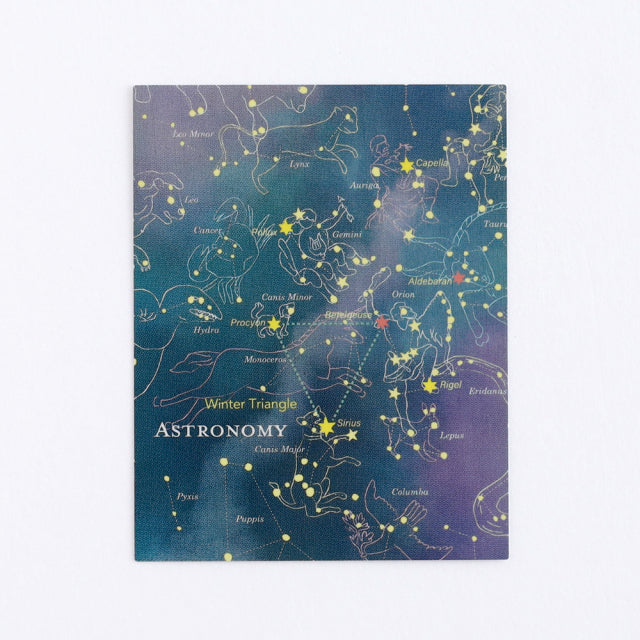 Green Flash STUDY HOLIC Aurora Stickers