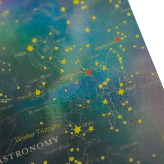 Green Flash STUDY HOLIC Aurora Stickers