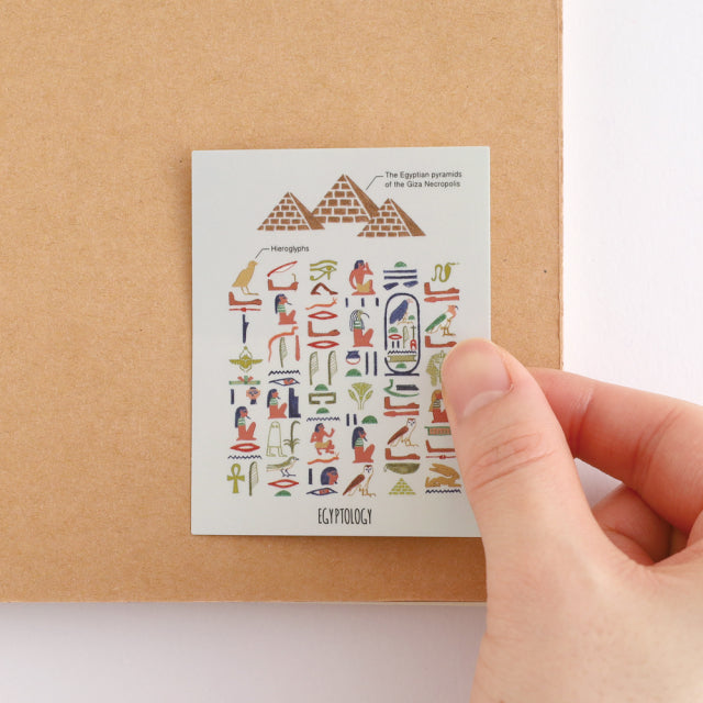 Green Flash STUDY HOLIC Aurora Stickers