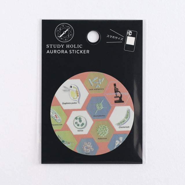 Green Flash STUDY HOLIC Aurora Stickers