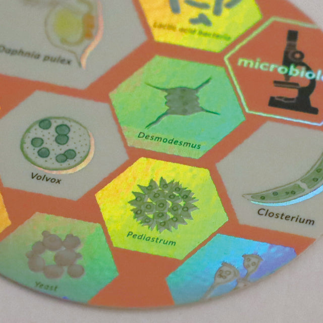 Green Flash STUDY HOLIC Aurora Stickers