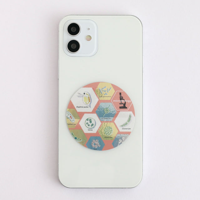 Green Flash STUDY HOLIC Aurora Stickers