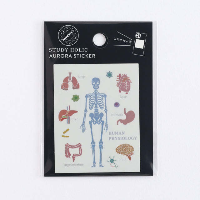 Green Flash STUDY HOLIC Aurora Stickers