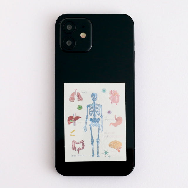 Green Flash STUDY HOLIC Aurora Stickers