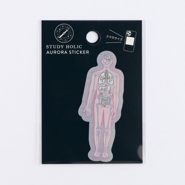 Green Flash STUDY HOLIC Aurora Stickers