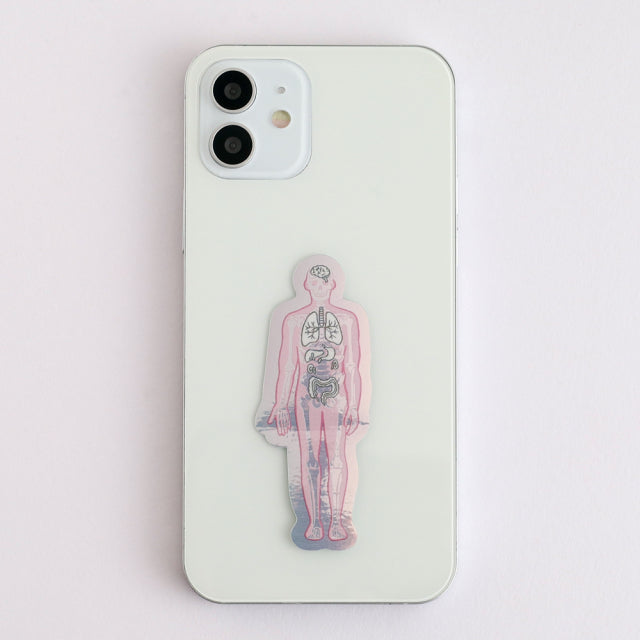 Green Flash STUDY HOLIC Aurora Stickers