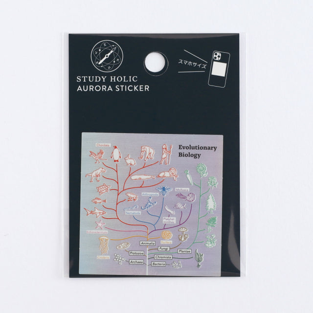 Green Flash STUDY HOLIC Aurora Stickers