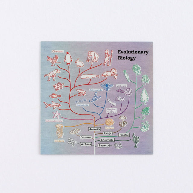 Green Flash STUDY HOLIC Aurora Stickers