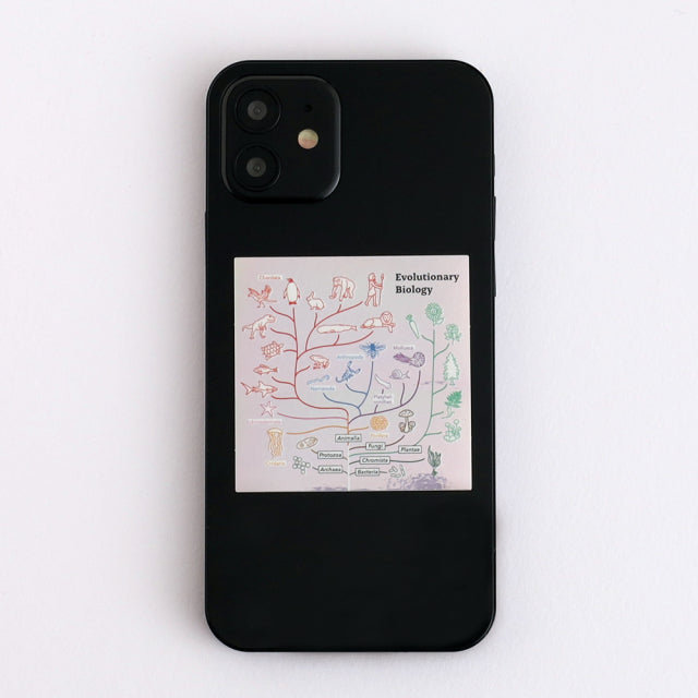 Green Flash STUDY HOLIC Aurora Stickers