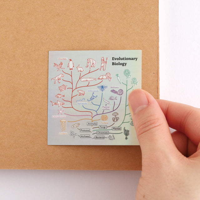 Green Flash STUDY HOLIC Aurora Stickers