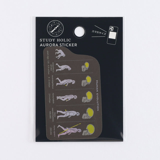 Green Flash STUDY HOLIC Aurora Stickers