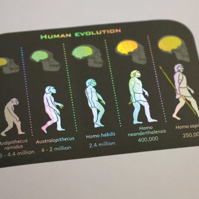 Green Flash STUDY HOLIC Aurora Stickers