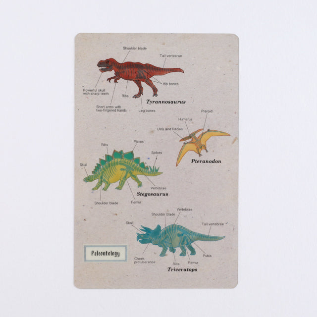 Green Flash STUDY HOLIC Clear Book Mark