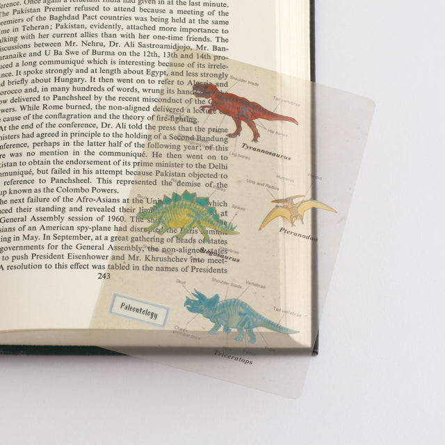 Green Flash STUDY HOLIC Clear Book Mark
