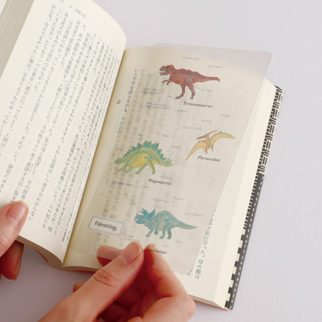 Green Flash STUDY HOLIC Clear Book Mark