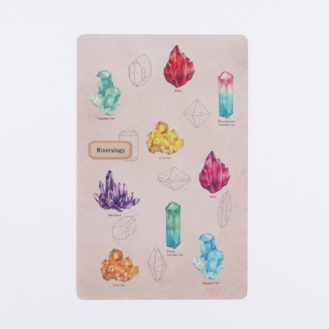 Green Flash STUDY HOLIC Clear Book Mark