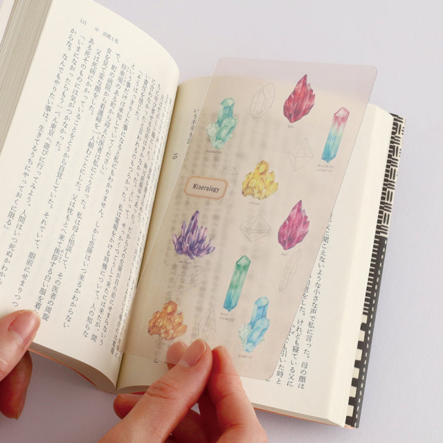 Green Flash STUDY HOLIC Clear Book Mark