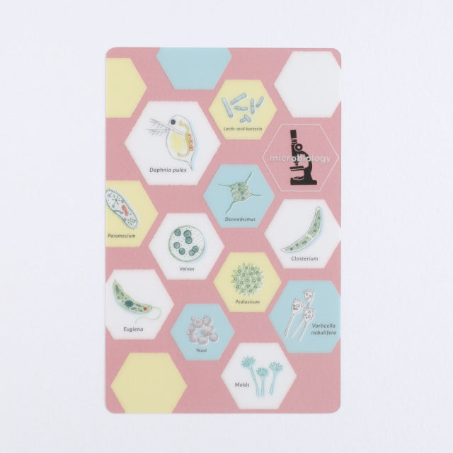 Green Flash STUDY HOLIC Clear Book Mark