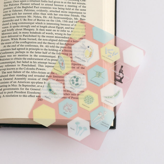 Green Flash STUDY HOLIC Clear Book Mark