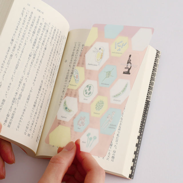 Green Flash STUDY HOLIC Clear Book Mark