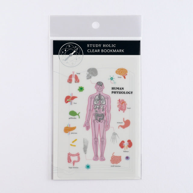 Green Flash STUDY HOLIC Clear Book Mark