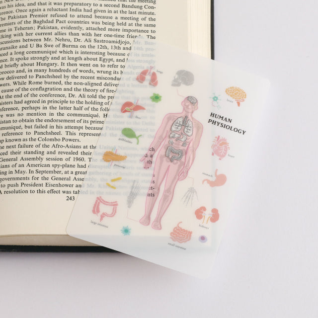 Green Flash STUDY HOLIC Clear Book Mark