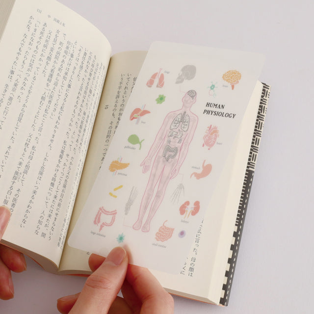 Green Flash STUDY HOLIC Clear Book Mark