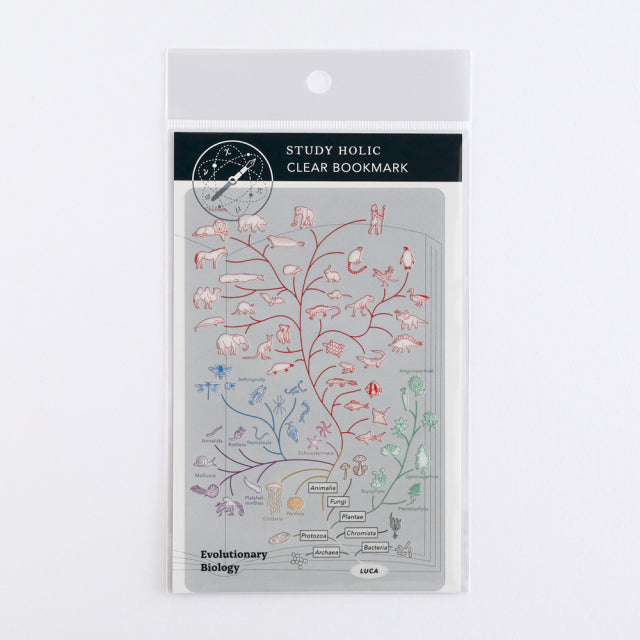 Green Flash STUDY HOLIC Clear Book Mark