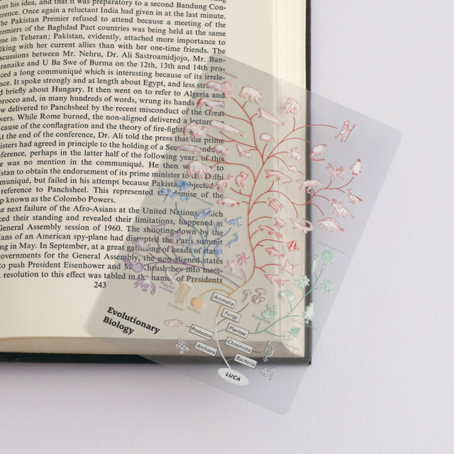 Green Flash STUDY HOLIC Clear Book Mark