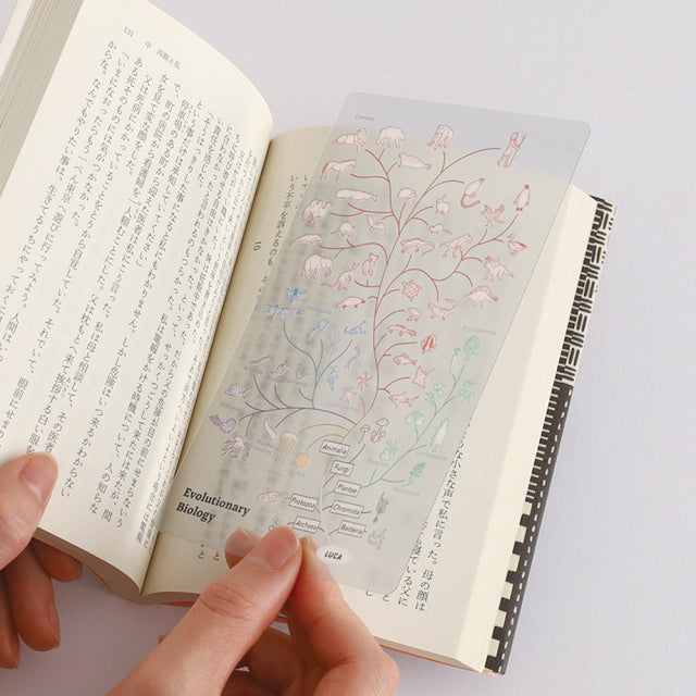 Green Flash STUDY HOLIC Clear Book Mark