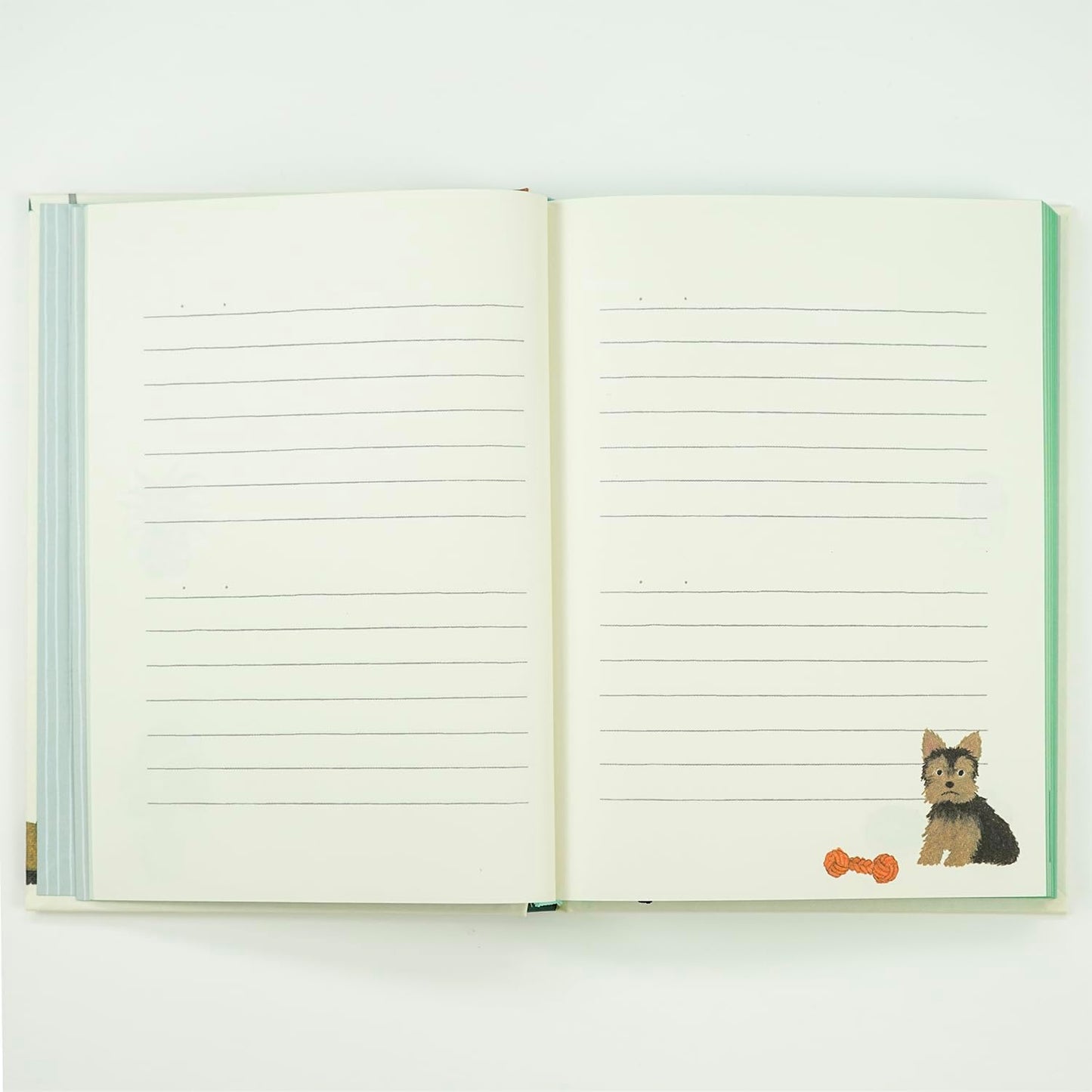 Greeting Life YZD-435 Illustration Changes Page Journal Tool White
