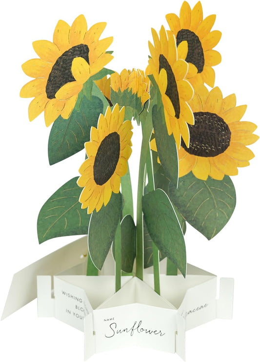 Greeting Life Birthday Blooming Card Sunflower KE-50