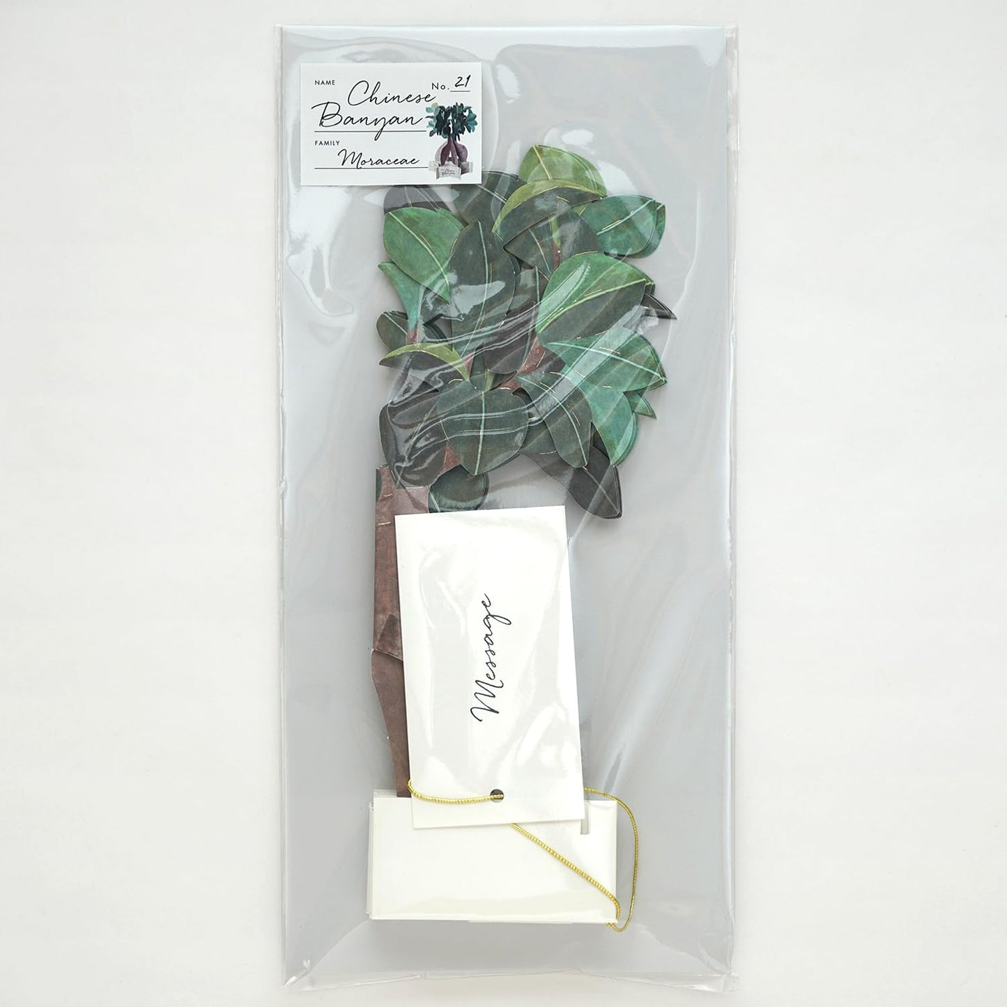 Greeting Life Birthday Blooming Card Banyan House KE-52