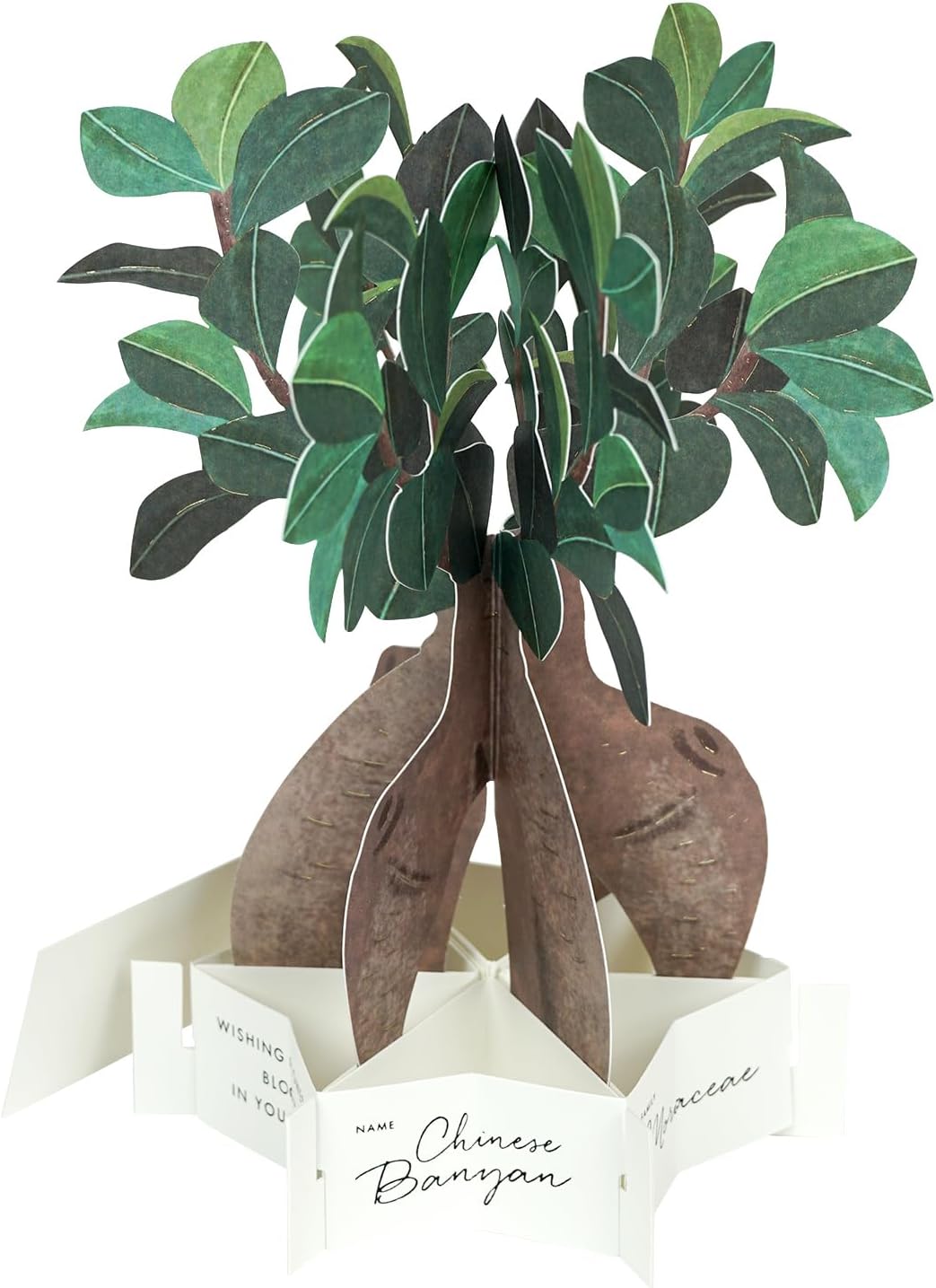 Greeting Life Birthday Blooming Card Banyan House KE-52