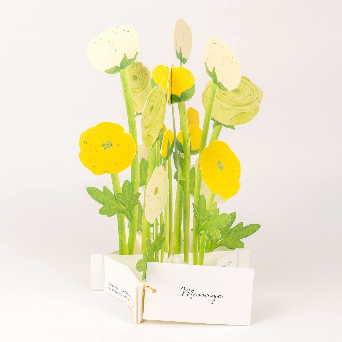Greeting Life Birthday Blooming Card Ranunculus KE-39