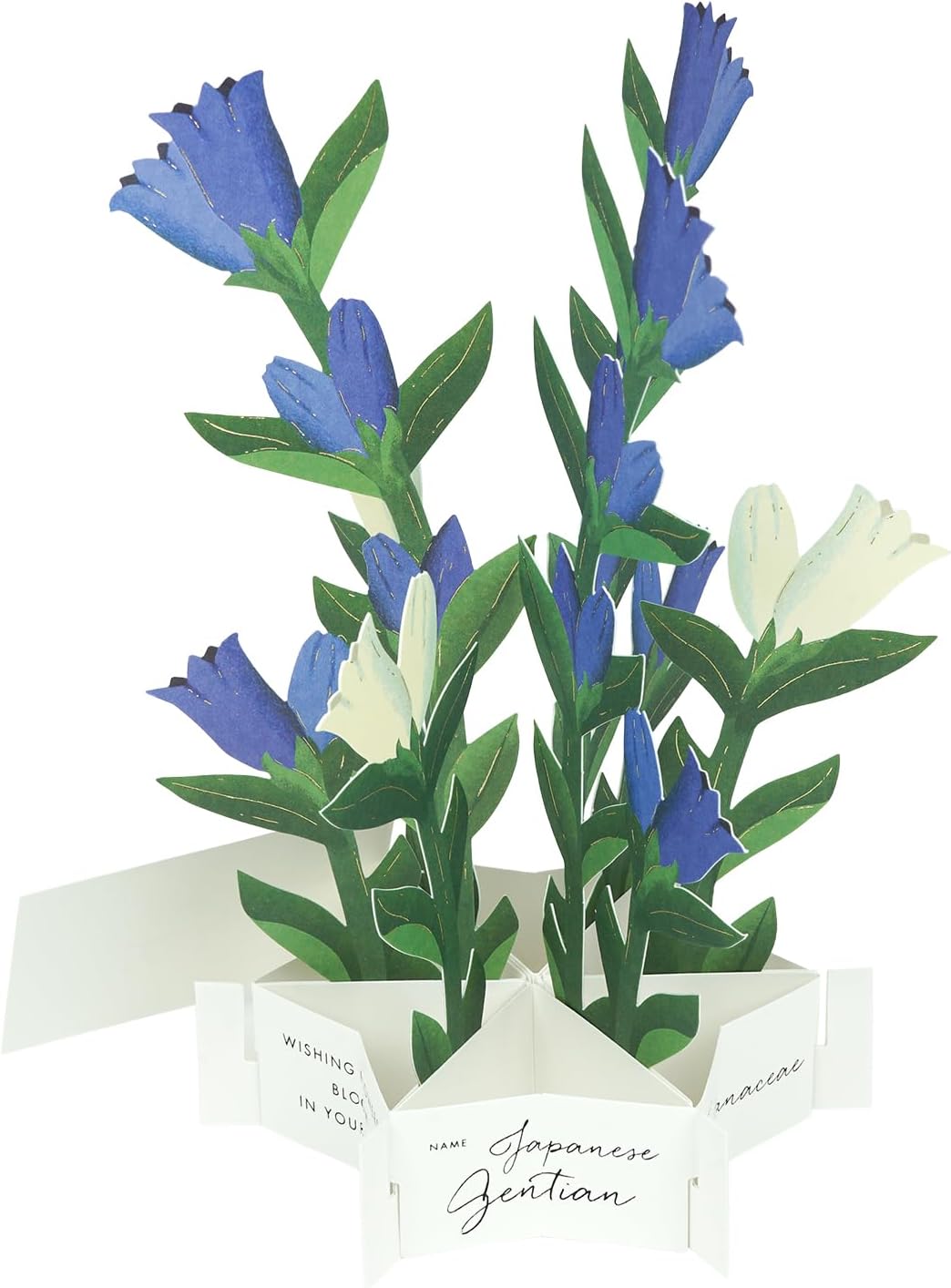 Greeting Life Birthday Blooming Card Multipurpose KE-54